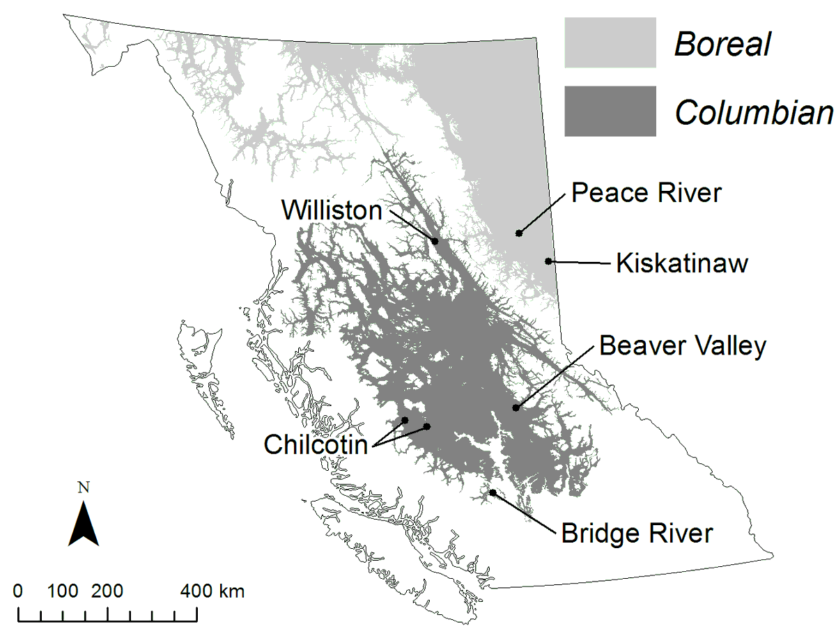 How different are the 2 fisher populations in BC? We followed 100 radio-tagged fishers to see. Survival wasn’t different, but reproduction was much lower in the Columbian pop. This resulted in a declining Columbian and a stable to increasing Boreal pop.
wildlife.onlinelibrary.wiley.com/doi/10.1002/jw…