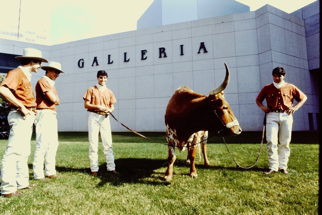 GalleriaDallas's tweet photo. We get many different types of visitors over TX-OU weekend 🏈 🐂#throwbackthursday #tbt #throwbackthursday #txouweekend https://t.co/Ac6JiELh3b