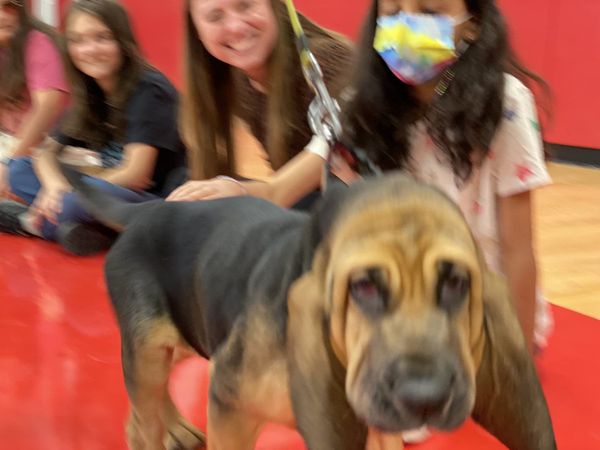 MphSteam's tweet image. For Fire &amp;amp; Safety week we had a special visitor… excuse the blurry photo, 10-week-old puppies don’t stay still. :-) @MPHlowerschAbdo
