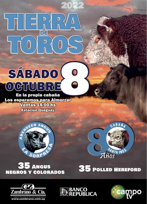 Image from Agustín Pereira (@pingolo_10)