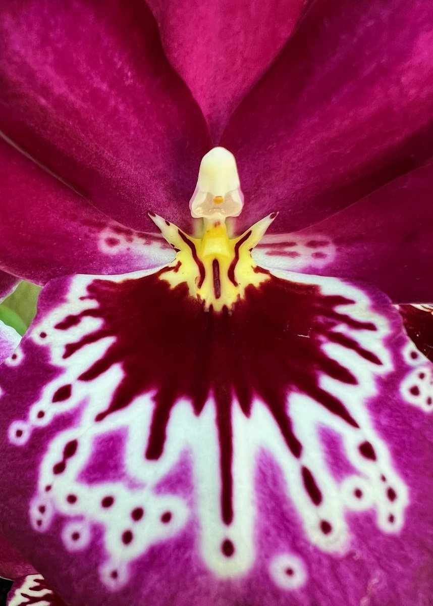 Dounia dounia tweet media