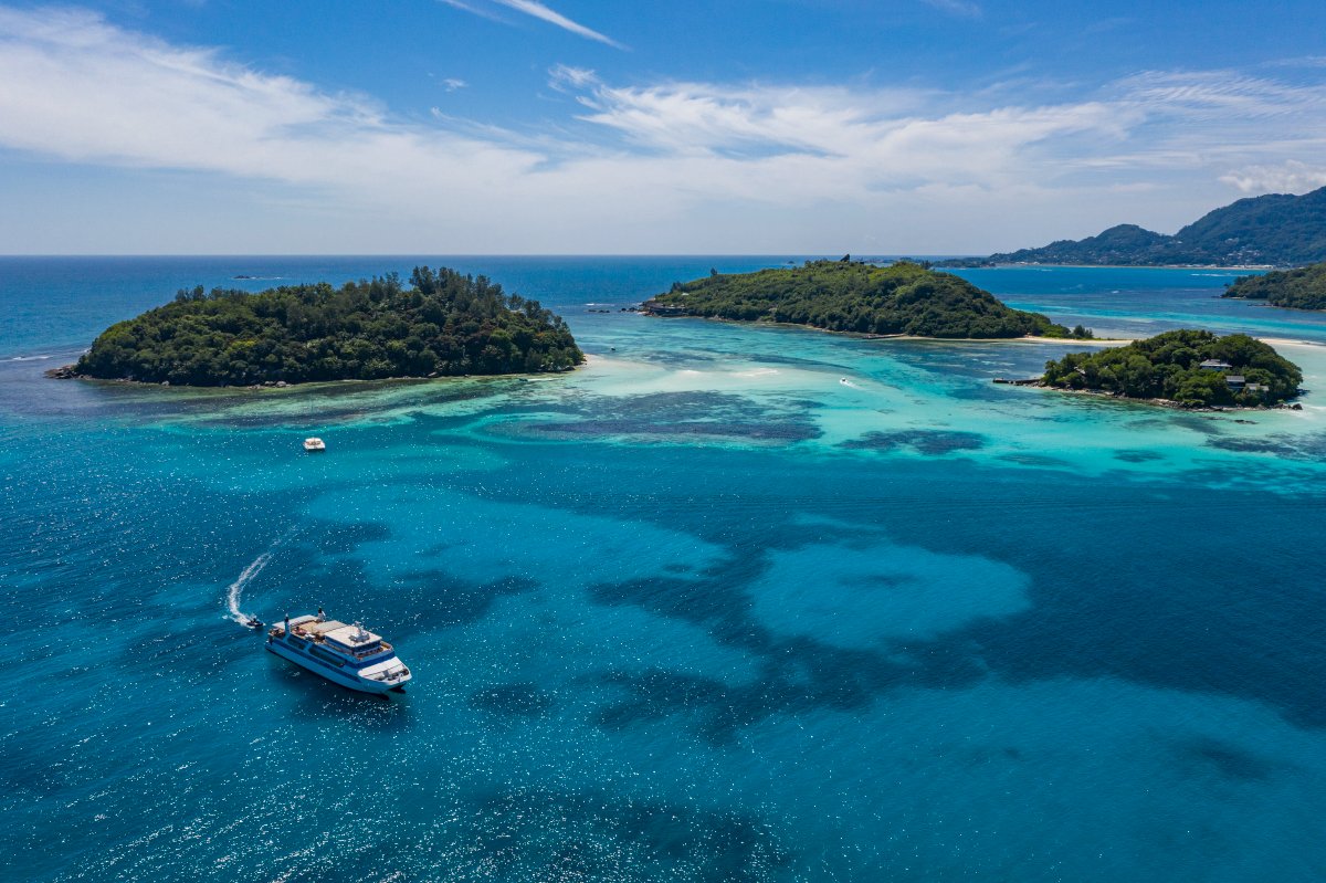 VarietyCruises's tweet photo. EXOTIC OFFERS! Book by November 10 and enjoy free excursions, free drinks and complimentary hotels &amp; transfers! Children cruise for free! Traveling solo? NO SINGLE SUPPLEMENT! Find out more: https://t.co/IhePGLGtth #varietycruises #offers #seychelles #tahiti #frenchpolynesia https://t.co/lUYLp8IFa2