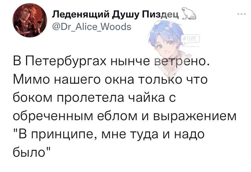 INTROkonVERT's tweet photo. Батя: я не отпущу тебя в Питер 
Я: почему?
Батя: https://t.co/67IoLnX13Q
