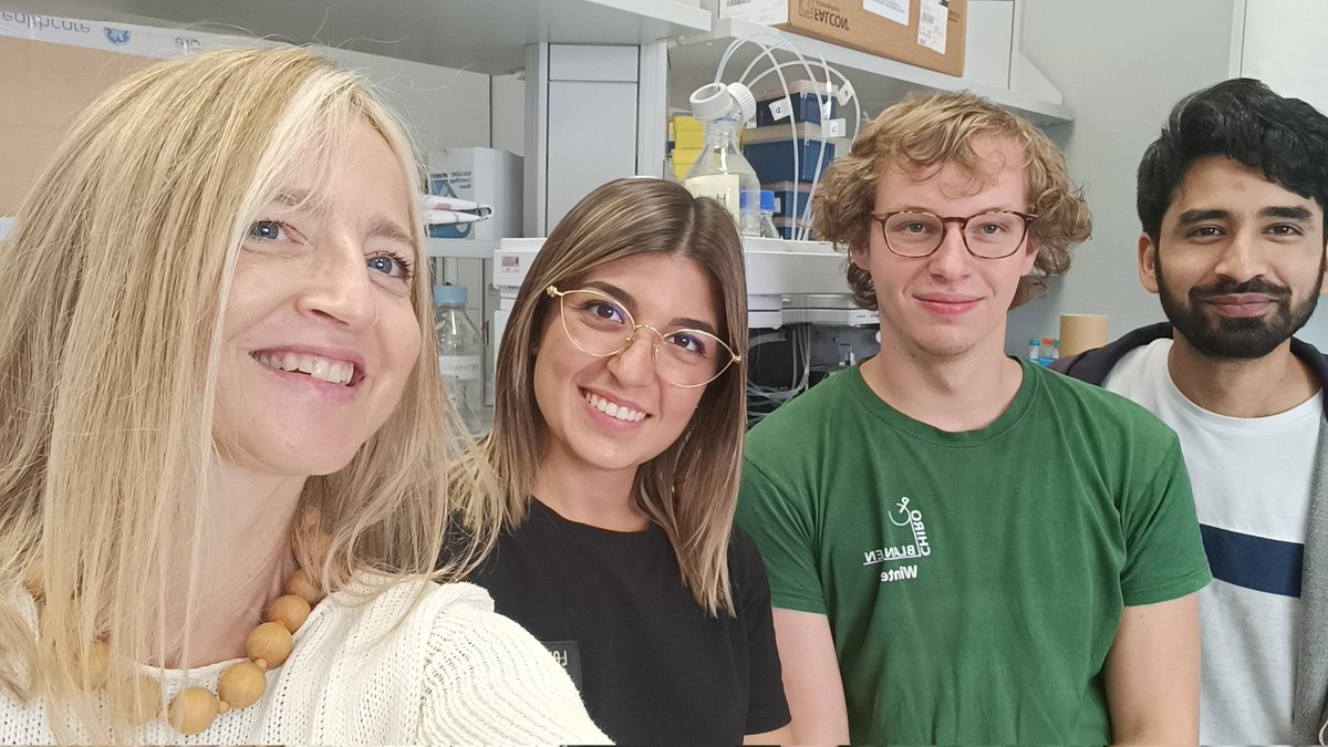 DanielaDeBiase1's tweet photo. Quinten Goessaert STSM in @DanielaDeBiase1 Lab is at its end!
We enjoyed having him in the lab.😊 Results are promising and very interesting! Looking forward to continue the collaboration on persistence and AR with @BramVDBe https://t.co/MYXNyHjCna