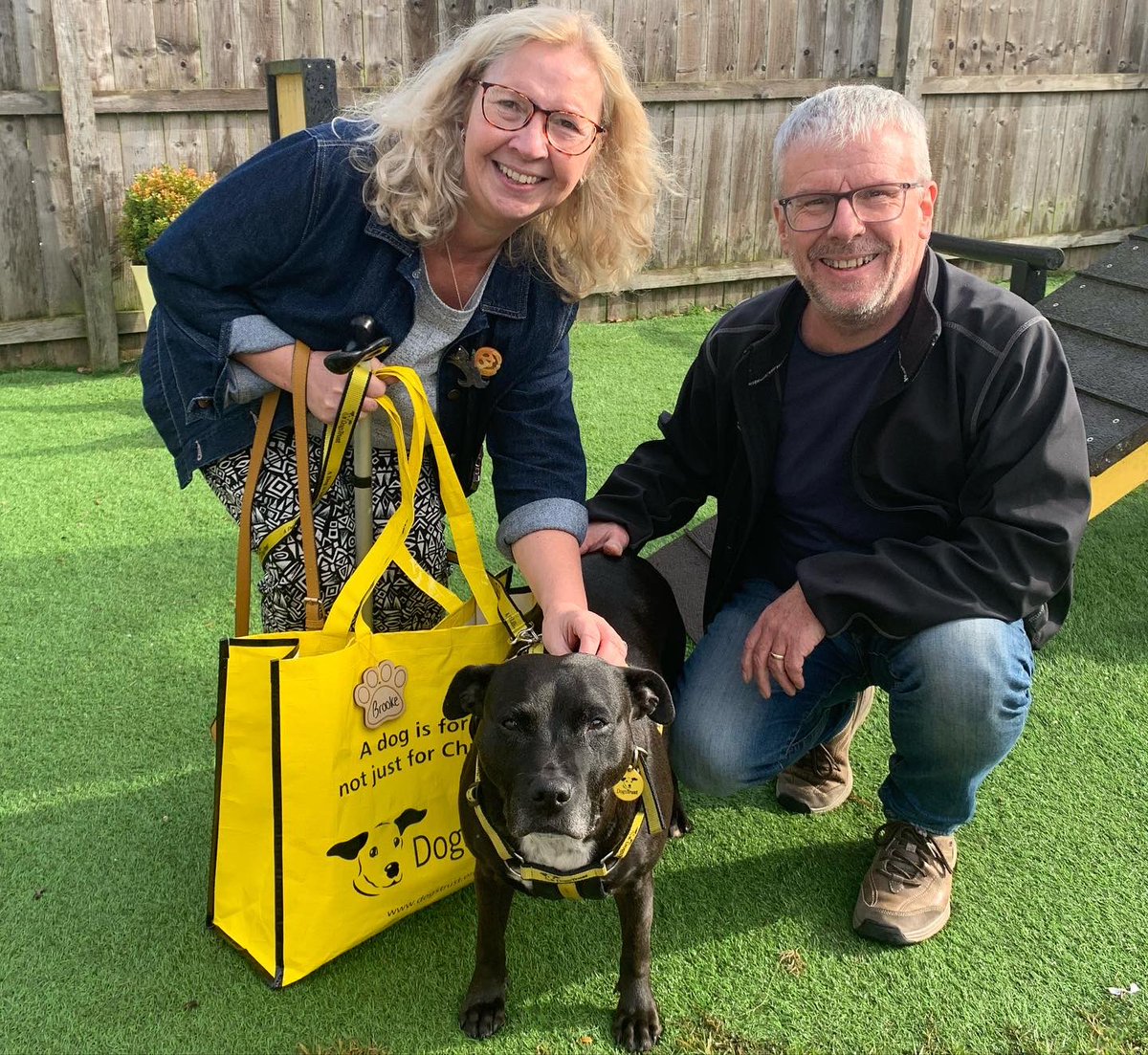 DT_WestCalder's tweet photo. Beautiful Brooke π packed her bags πΌ and said goodbye to her lovely foster carer this afternoon ππΌ as she set off for her forever home π‘
Check out her first photo with her new family β€οΈ
@dogstrust #adoptdontshop #staffylove #sbt #foreverhome #fostertoforever https://t.co/3qwVLIEbGm