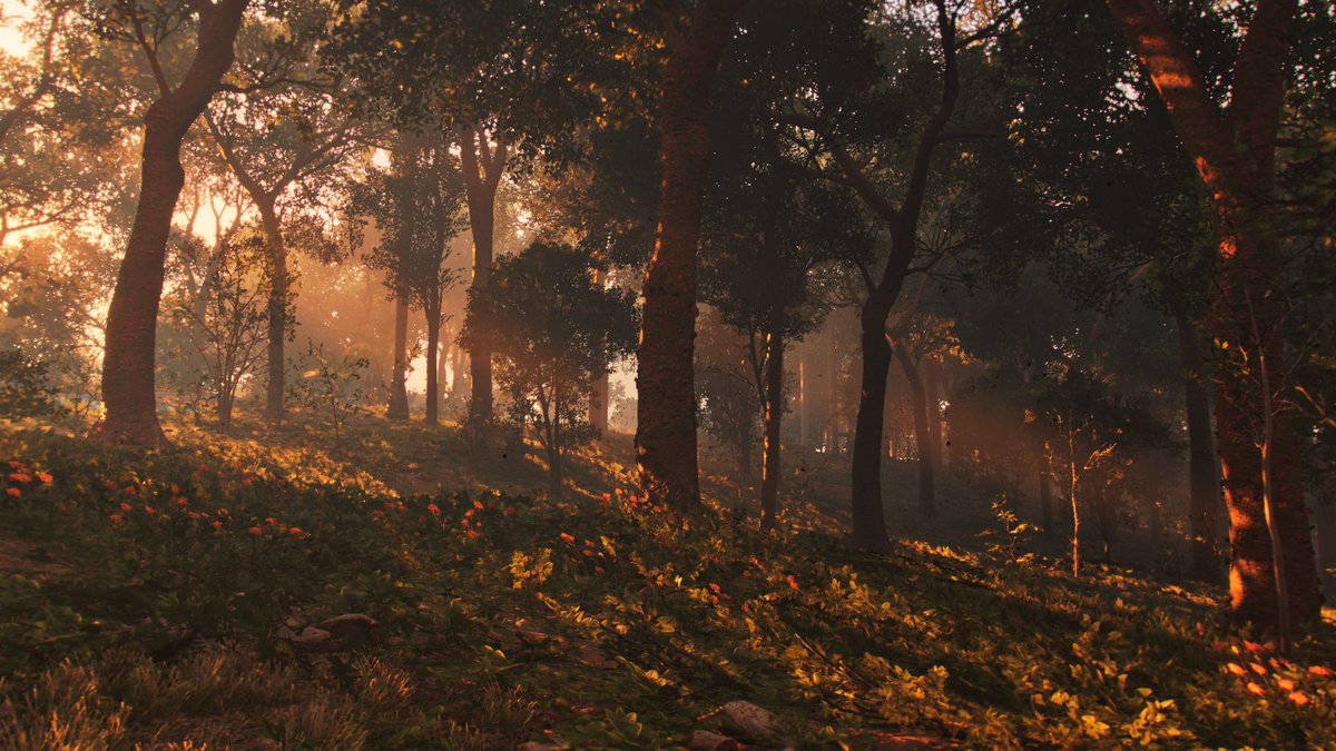 G_Assassin90's tweet photo. #TCCForests
- #ACValhalla
- #FarCry5
- #FarCry6
- #BlairWitch
#TheCapturedCollective https://t.co/oPTIucBqZ3