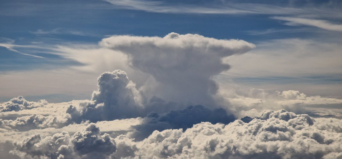 Explosión de belleza.