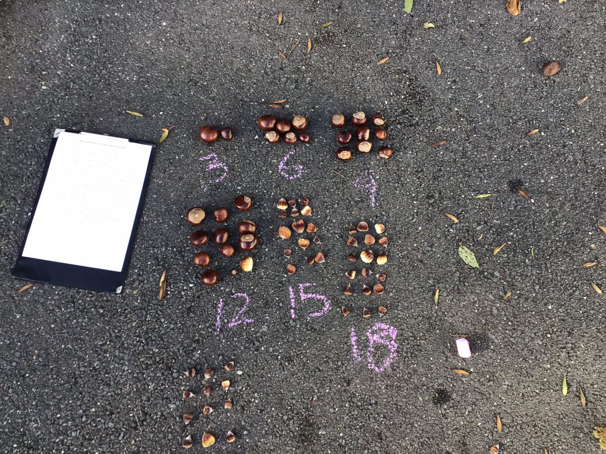 Edwalton Primary tweet media