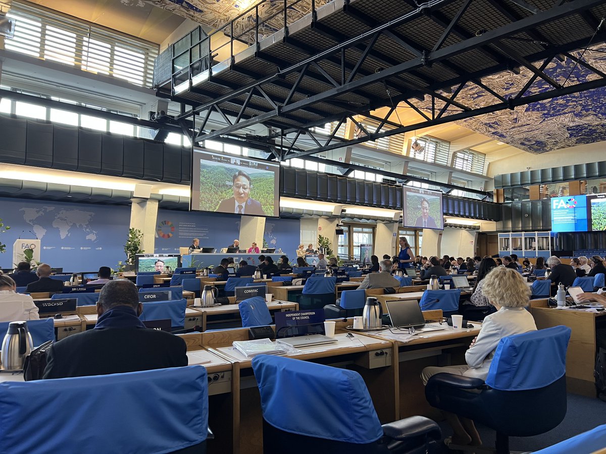 WFCKorea's tweet photo. ‼️Now live! 9.2 Outcomes of the XV World Forestry Congress 
💡Key features and main outcomes of the XV World Forestry Congress, outlines possible follow-up work to help operationalize these outcomes 
👉🏻 You can follow the session here:  https://t.co/2e7ruzhk5j
#WFKorea #COFO26 https://t.co/cd9i2JPEMQ
