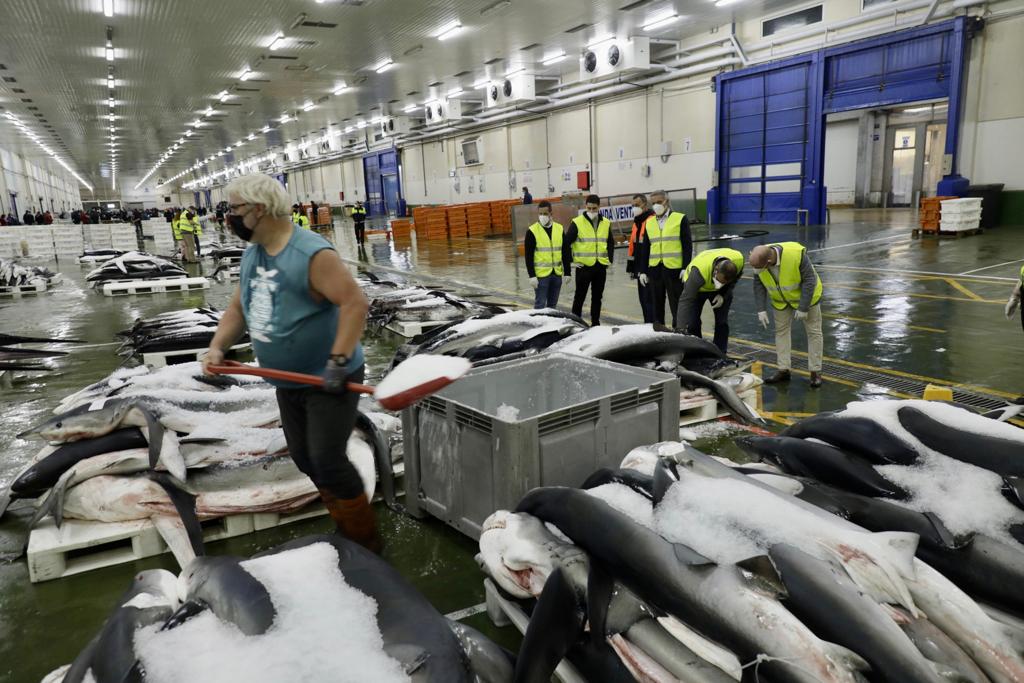 arcionimariano's tweet photo. En el marco de la feria @ConxemarOficial , que se desarrolla en la ciudad de📍#Vigo, recorrimos con la #CAMACH el principal puerto en materia de pesca fresca y congelada de España. https://t.co/RFVu97GdY6