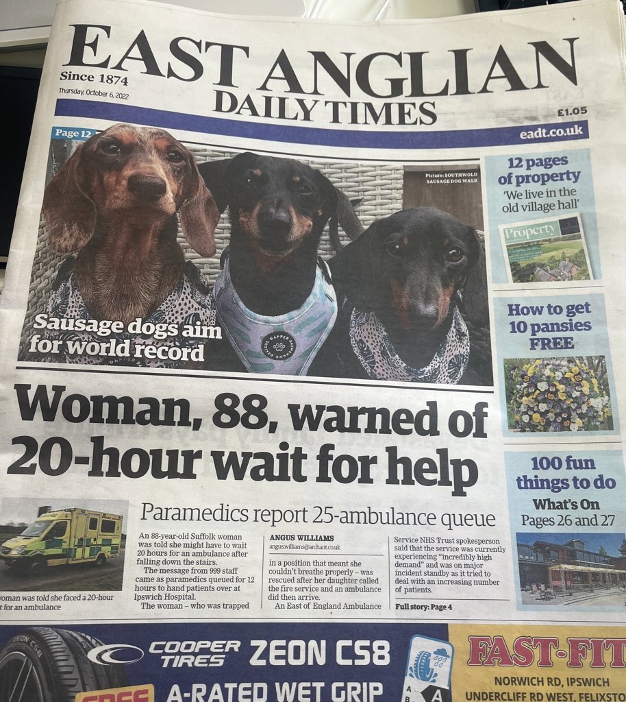 Bruno14Brown's tweet photo. Front page splash of today’s @EADT24 : https://t.co/LFmDJ5H6Zg … - This Sunday, big big event if you own a #Sausagedog / #Dachshund … get yourself to #Southwold harbour for half 11 to be part of the world record breaking Sausage Dog congregation and walk!… 🐾🦴🐶 https://t.co/YVqE9gzLvt