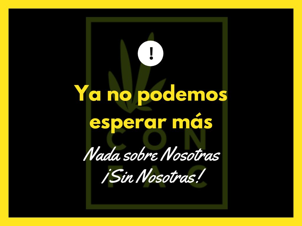 #AhoraCSC 
Debate sobre la regulación <a href="/Congreso_Es/">Congreso</a>
Los clubes sociales de Cannabis nacieron para prevenir riesgos asociados a los mercados ilícitos
🏛👟📢 Ya no podemos esperar más ‼