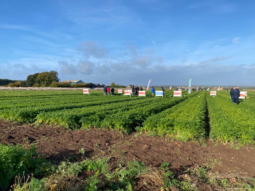 Agility Agriculture (@agility_ag) on Twitter photo The weather was kind and it was great to see so many people attending a successful <a href="/CarrotGrowers/">British Carrot Growers Association</a> Open Day today. Thanks to the BCGA and Tompsett Growers for hosting the event. <a href="/TakiiEurope/">Takii Europe</a> #carrots The weather was kind and it was great to see so many people attending a successful <a href="/CarrotGrowers/">British Carrot Growers Association</a> Open Day today. Thanks to the BCGA and Tompsett Growers for hosting the event. <a href="/TakiiEurope/">Takii Europe</a> #carrots