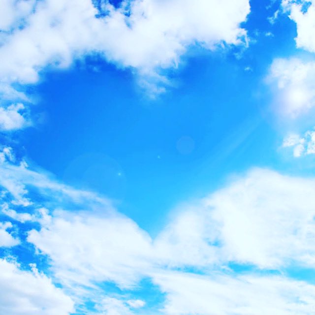 Janie Van Halen tweet media