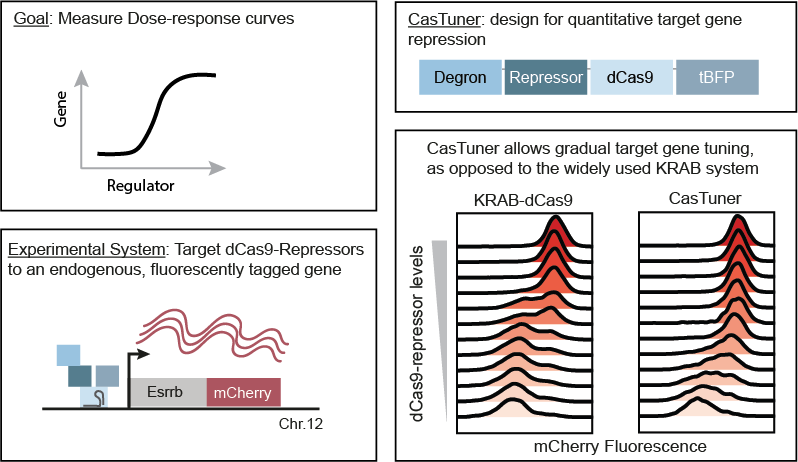 Edda Schulz tweet media