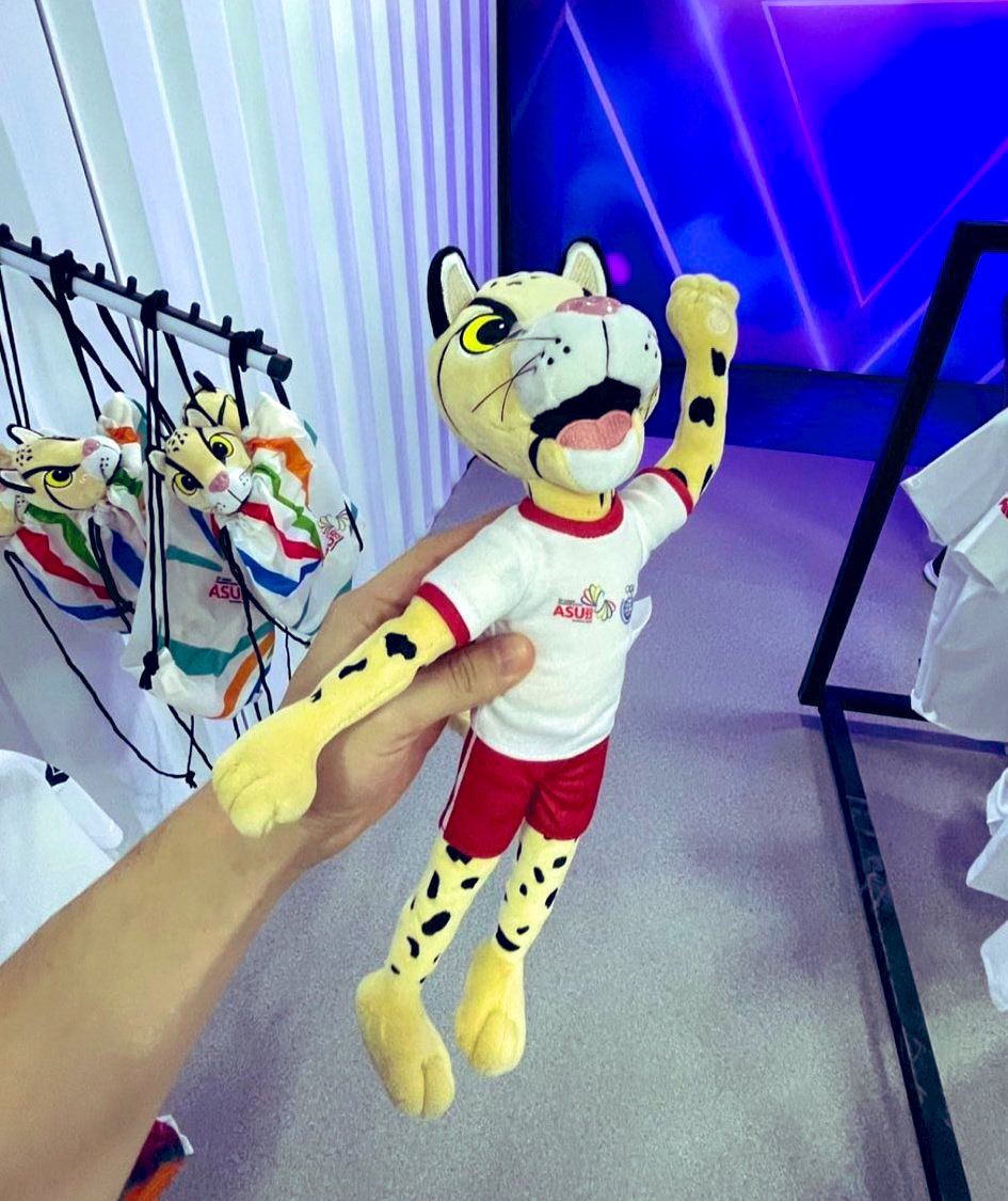 javublue's tweet photo. Algunos todavía no saben que hay dos versiones de los peluches Tirika. 
A la izquierda la que es hecha por artesanos de Yaguarón (más gordito). A la derecha Made in China marca Kyrios. https://t.co/CNUELBg6nb