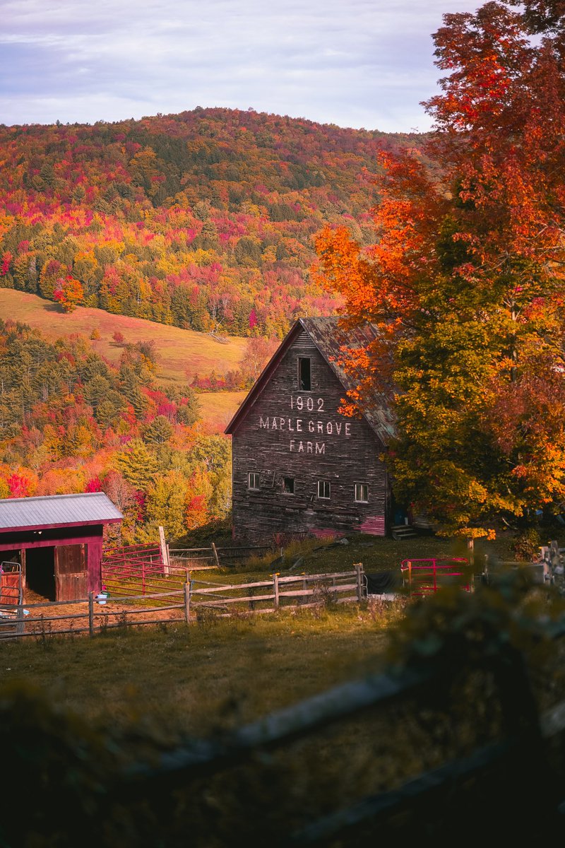 Justins_Self's tweet photo. Spotted this beauty on back roads of the backroads in Vermont. @spann https://t.co/GqGEJZJoVf