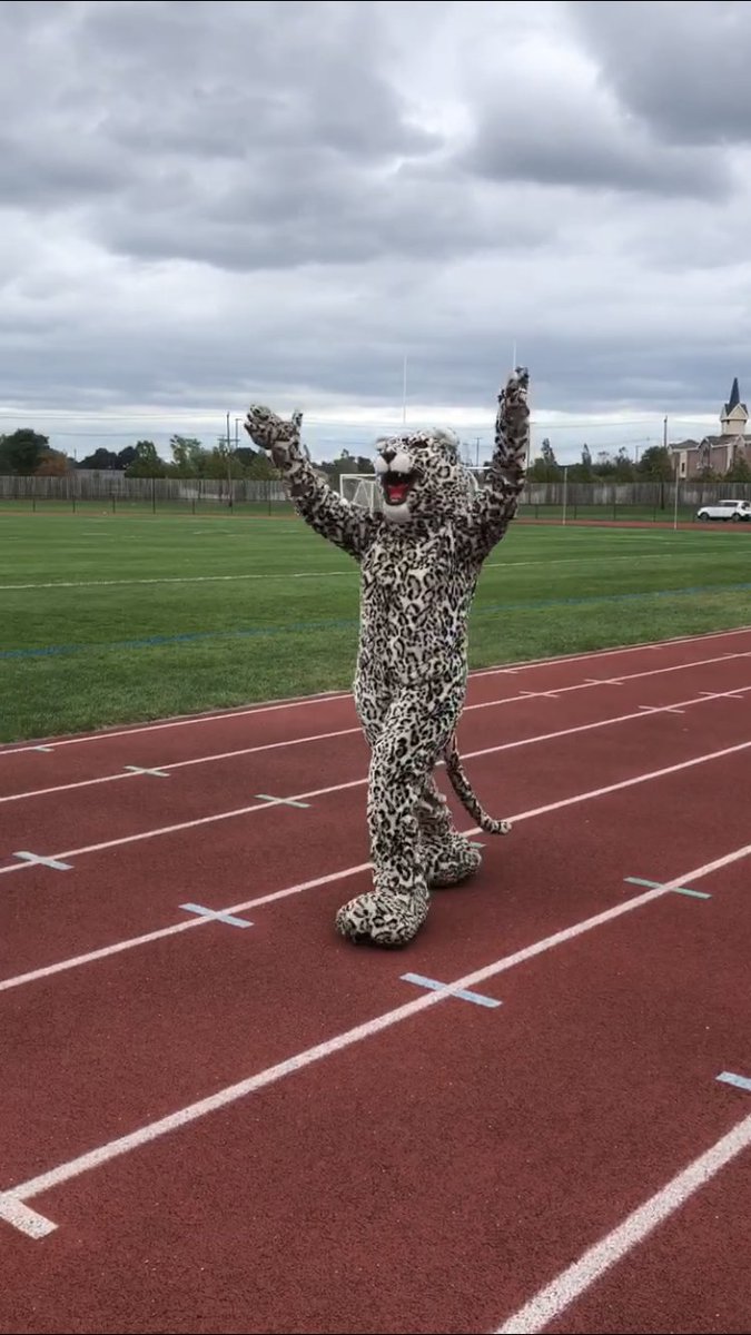 Remember, Leopards! Tonight is OPEN HOUSE!! 5:30 - 7pm and then stay for the Girls Soccer game at 7:30! #WeAreOdyssey <a href="/CHepburnChange/">Dr. Corey T. Hepburn</a> <a href="/msgabbygraves/">𝕄𝕤. 𝔾𝕒𝕓𝕓𝕪 𝔾𝕣𝕒𝕧𝕖𝕤</a> <a href="/Ody_Athletics/">Greece Odyssey Athletics</a> ☺️ HOPE TO SEE YOU THERE!!