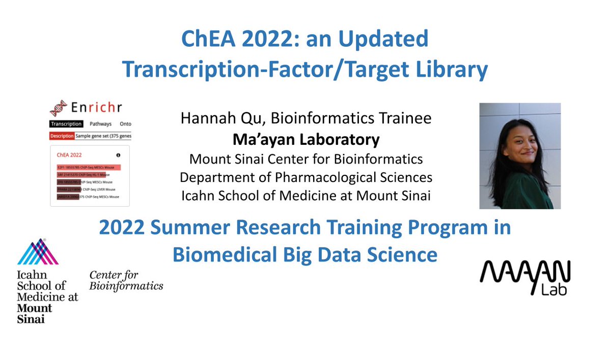 AviMaayan tweet media