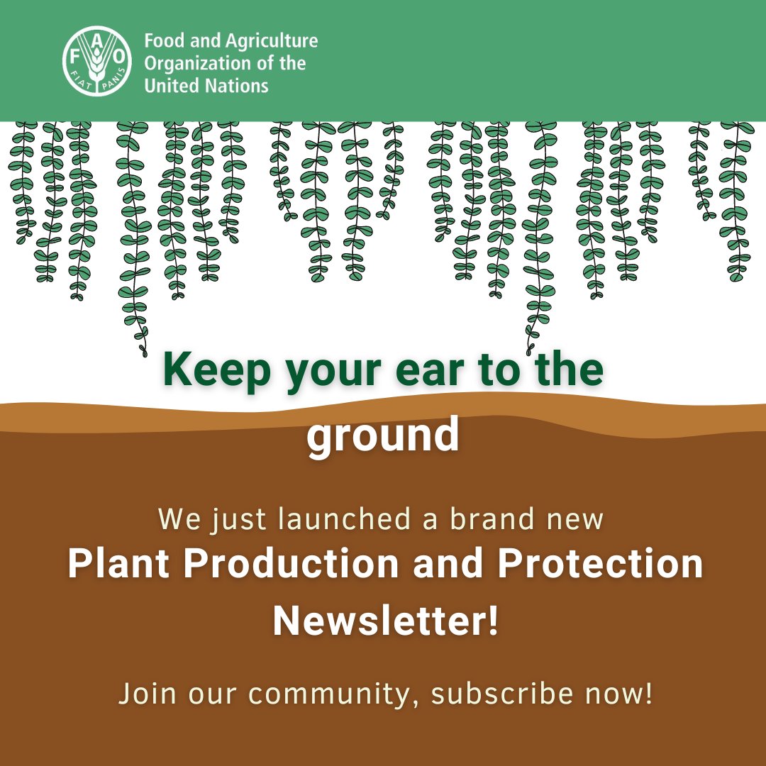 🌱Interested in #PlantProduction & #PlantProtection?

FAO's Plant Production and Protection Division just launched its brand-new newsletter!

📬Join the community and stay in tune with our latest projects, products and progress!

👉Subscribe now: bit.ly/3T2nGCU