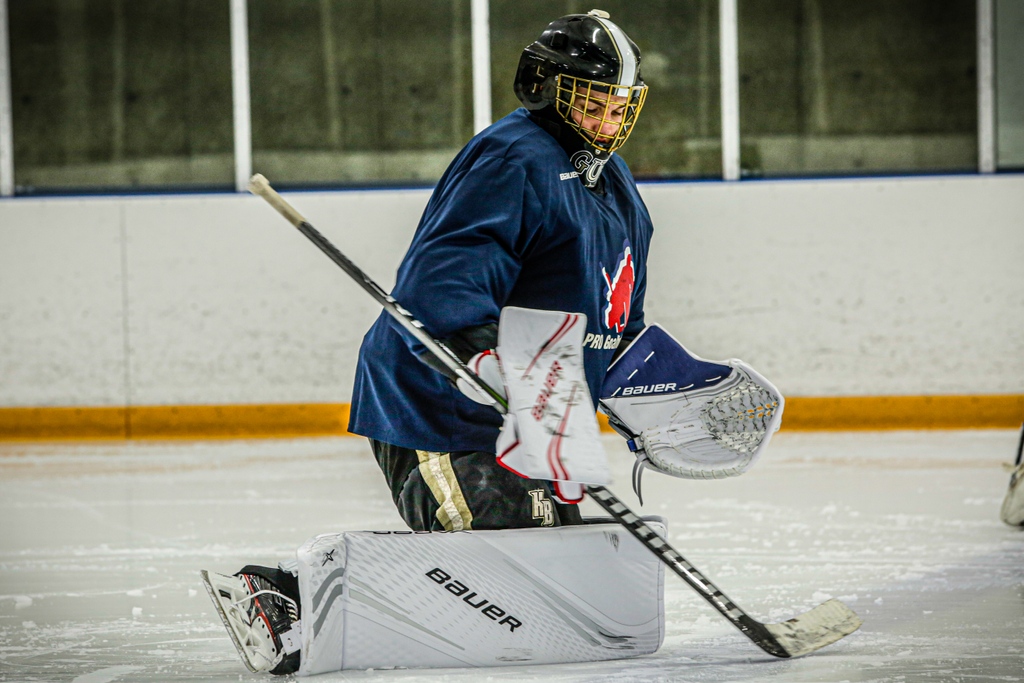 PRO Goaltending tweet media