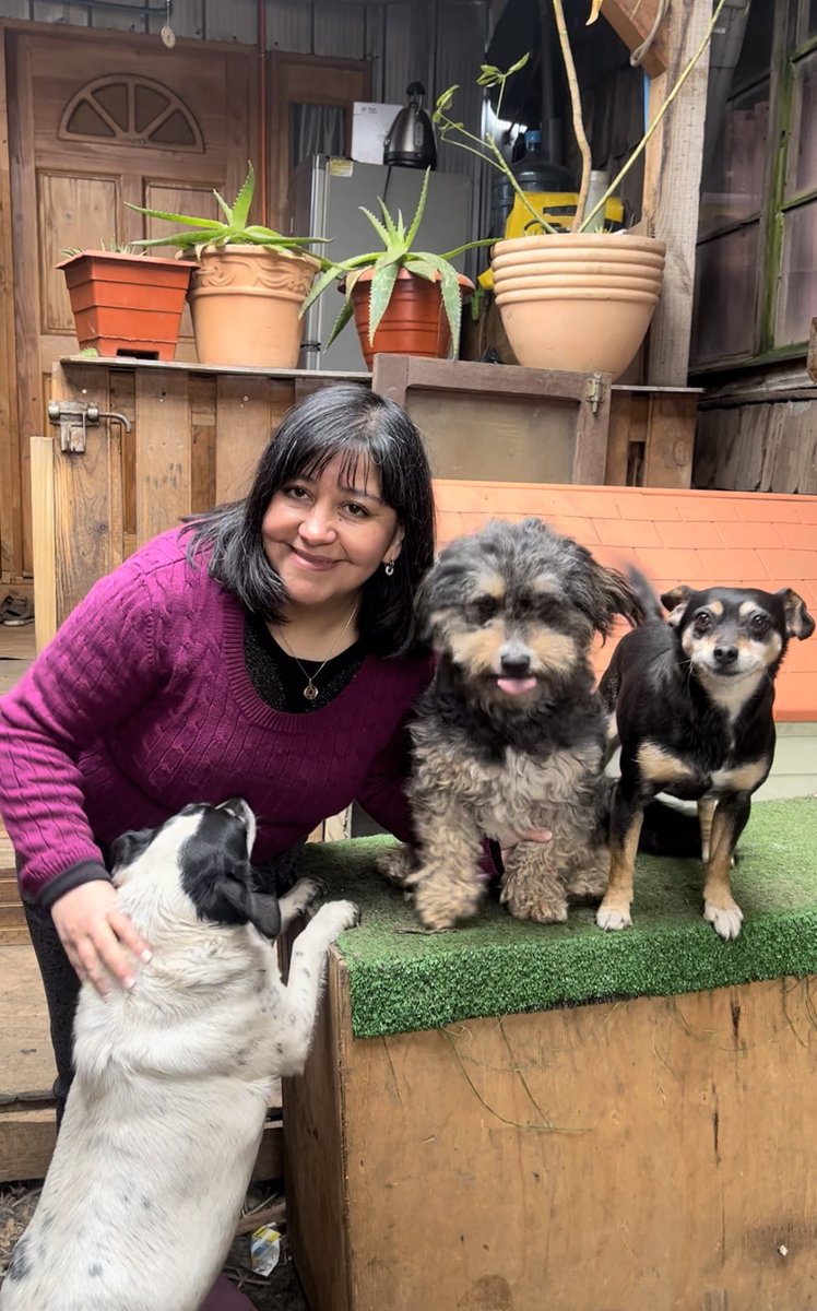 Vivicientaa's tweet photo. #BPSO @RNAO @BPSO_HPM @DorisGrinspun con mis mini Champions 🐶🐾💓 https://t.co/56uNhgS2Az