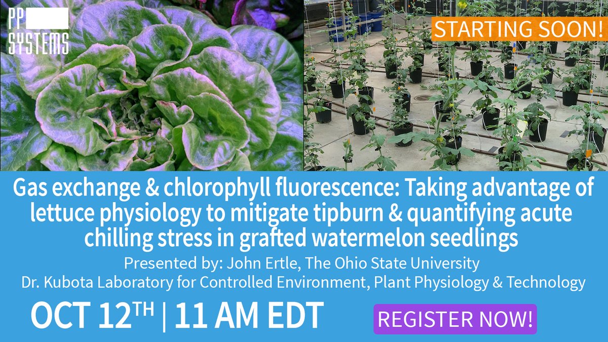 pp_systems's tweet photo. STARTING SOON! #LeafGasExchange & #ChlorophyllFluorescence—Mitigating lettuce #tipburn & quantifying acute #ChillingStress in #GraftedWatermelonSeedlings. By @John_Ertle @OSU_HortCropSci @ASHS_Hort #KubotaLab #ControlledEnvironment REGISTER NOW! https://t.co/sCwHiQG4F0 https://t.co/8AUaowDP5e