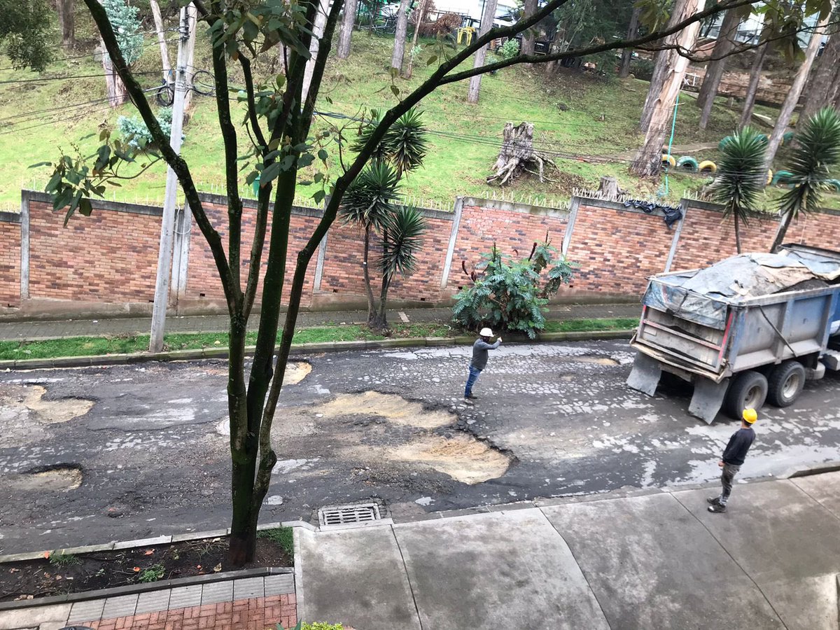 Adrián E Magnoli tweet media