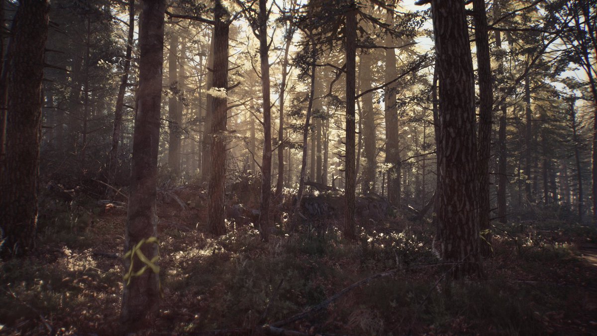 G_Assassin90's tweet photo. #TCCForests
- #ACValhalla
- #FarCry5
- #FarCry6
- #BlairWitch
#TheCapturedCollective https://t.co/oPTIucBqZ3