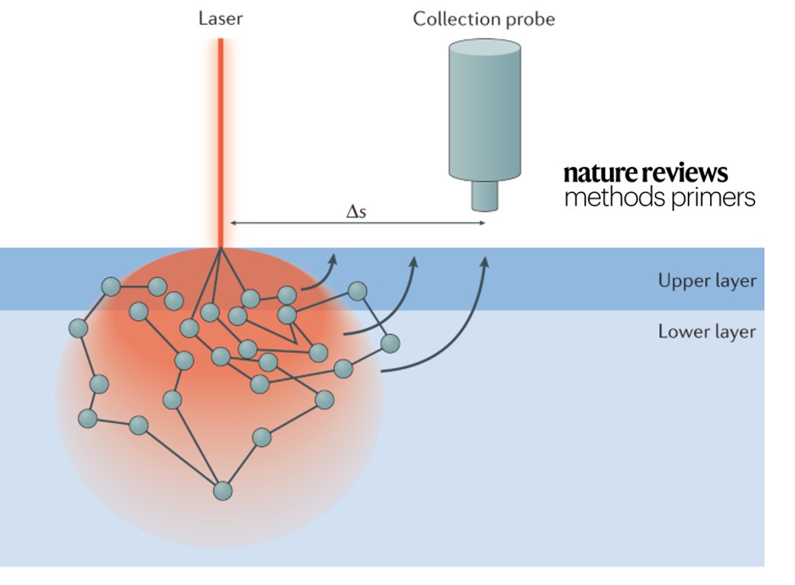 Learn about spatially offset Raman spectroscopy (SORS) with this Primer <a href="/Fly3Sara/">SMosca</a> <a href="/STFC_Matters/">Science and Technology Facilities Council</a> <a href="/profnickstone/">Prof Nick Stone 🩺🔦🔬🌈📸💻🧠🧬🚦</a> <a href="/UniofExeter/">University of Exeter</a> 

go.nature.com/3taaejj