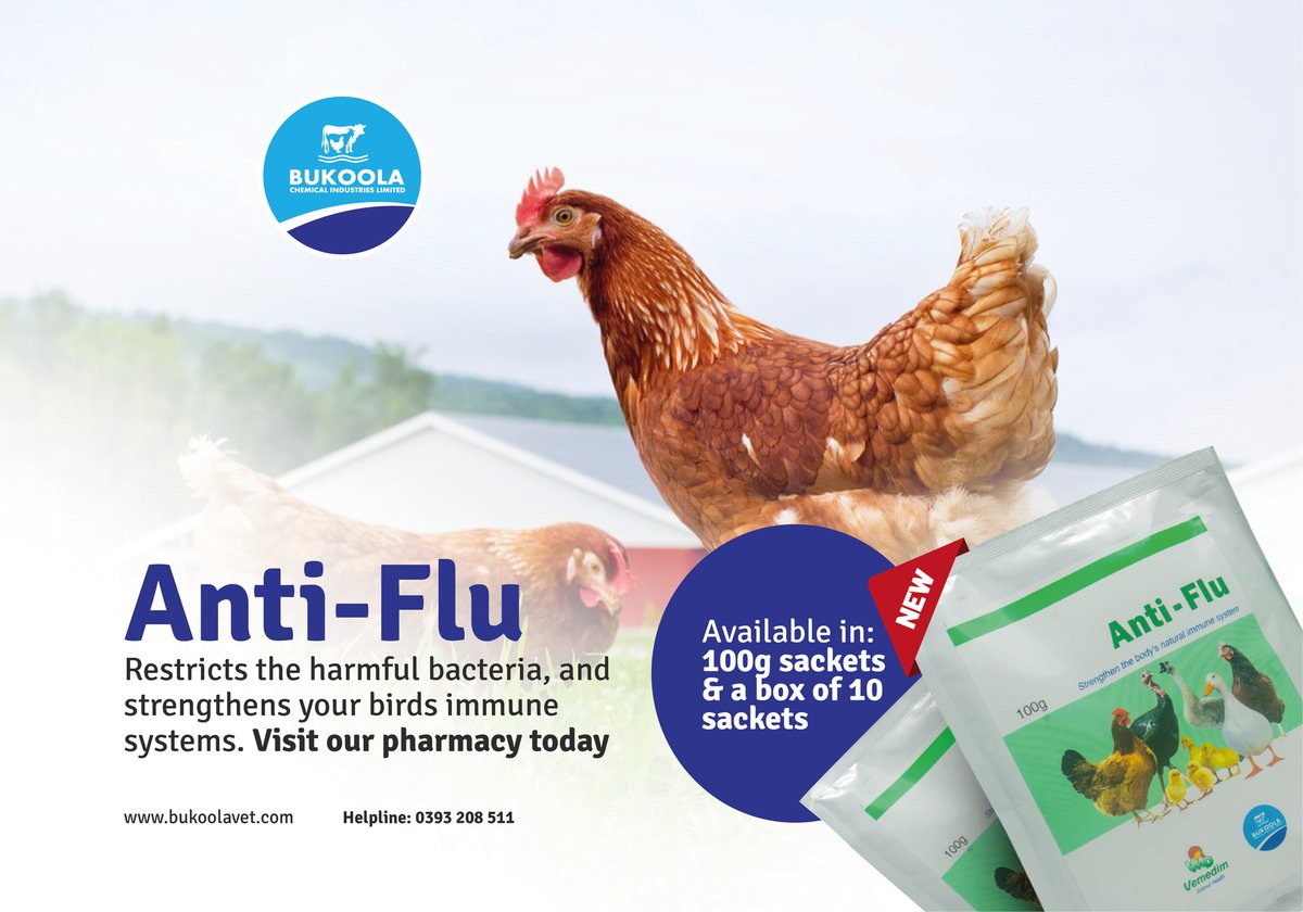 Bukoolavet's tweet photo. Anti-Flu is the best solution for enhancing and strengthening poultry birds body natural immune system. It restricts the harmful bacteria, increases the microflora that helps to prevent intestinal disease.
#BukoolaVet #VetPharmacy #AntiFlu https://t.co/Ai41wqAlTy
