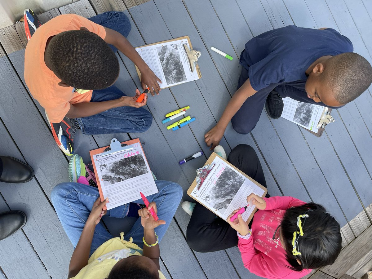 kfyoder1's tweet image. My favorite time of year- Fall and being in the midst of my favorite unit, Survivor!  4th Gr 🎯Ss problem solve what would a survivor do (WWASD), fly to and from Brazil, and discover the troubles plaguing the Amazon.  @NESTarget @CobbAlp @MrsTLCline #lovetothinkhere #survivor