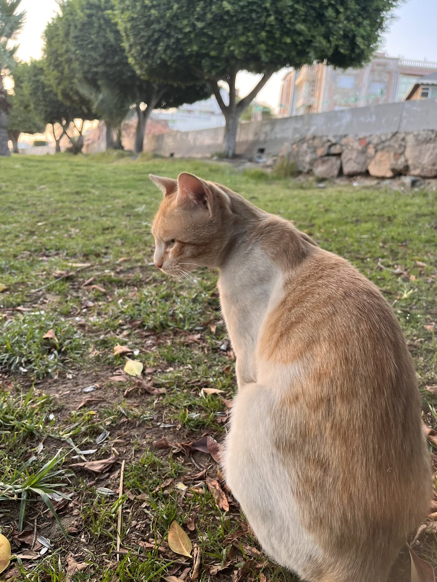 alhamooormRR's tweet photo. "ليس لي، من يُتاح لغيري". https://t.co/o4F0hfGzlF