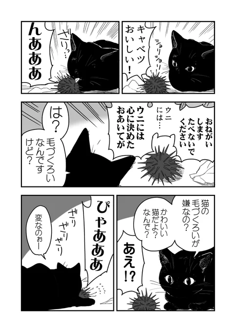 猫VSウニの後のウニ漫画です 