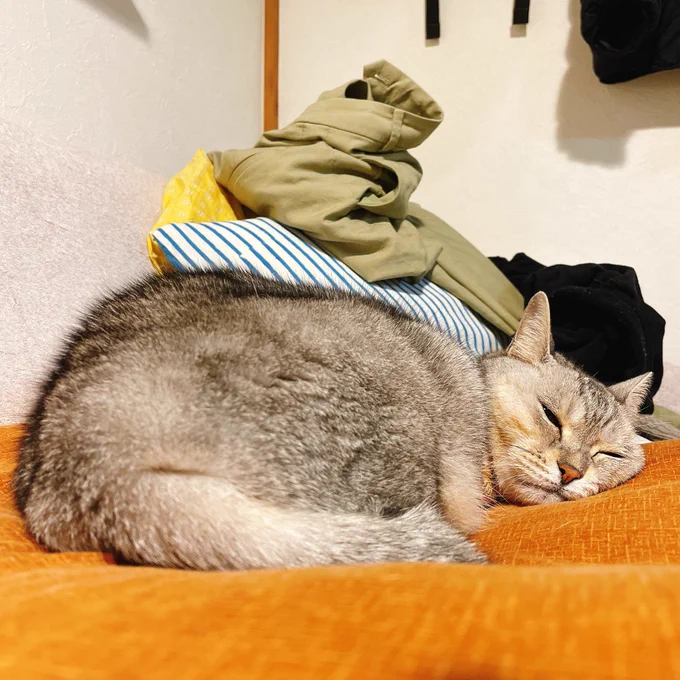 おやすみ 