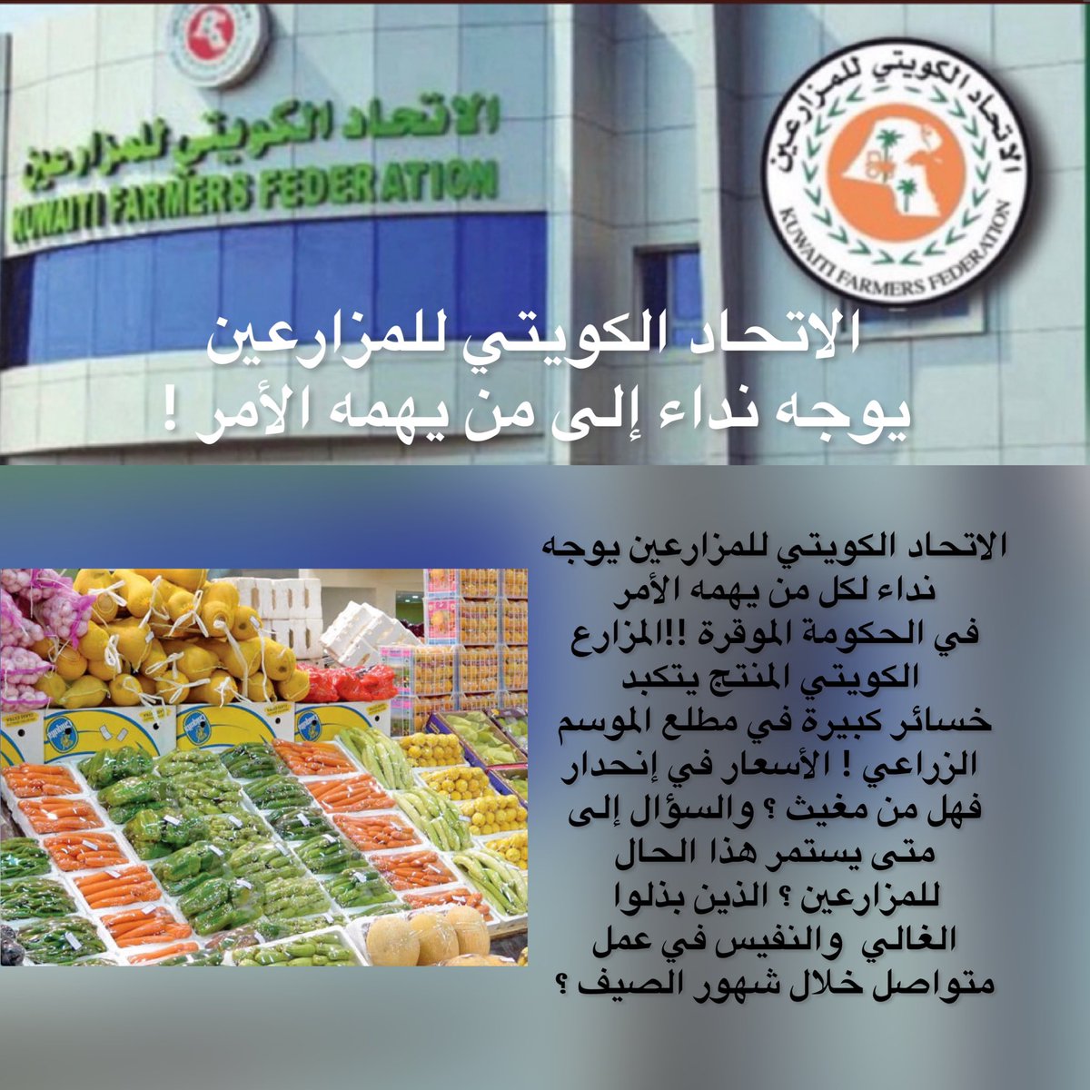 kuwaiti_kff's tweet photo. #الاتحاد_الكويتي_للمزارعين يوجه نداء لكل من يهمه الأمر في الحكومة الموقرة !
المزارع الكويتي المنتج يتكبد خسائر كبيرة في مطلع الموسم الزراعي !
الأسعار في إنحدار فهل من مغيث ؟ والسؤال إلى متى يستمر هذا الحال للمزارعين؟ الذين بذلوا الغالي والنفيس في عمل متواصل خلال شهور الصيف؟ https://t.co/7nSer19te4