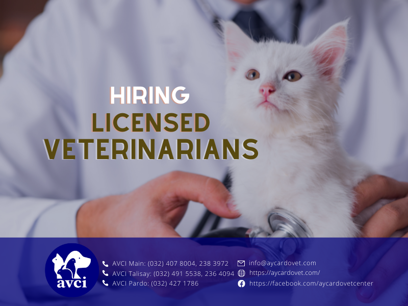 avcivet's tweet photo. We are hiring licensed vets.
Partner with us and know the details of this position at the following sites:
Mynimo - https://t.co/s0IpR7dZBL
Jobstreet - https://t.co/sbbqUEHnJL https://t.co/r61c0rTrlj