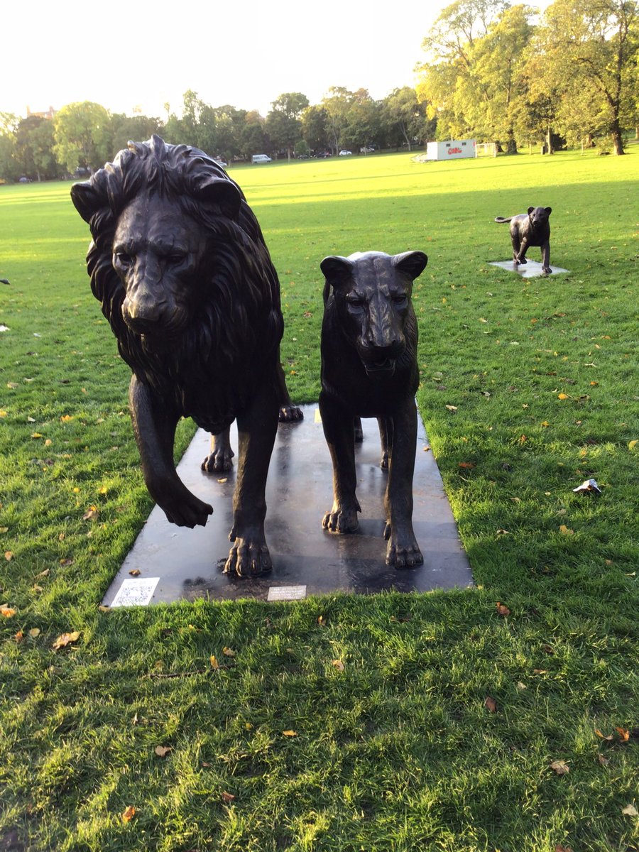 DonnaM333's tweet photo. More of the 25 beautiful lion statues in Edinburgh’s Meadows. #bornfree #lions #bornfreefoundation #edinburgh #themeadows #bornfreeforever #willtravers #virginiamckenna https://t.co/EibSWTaejJ