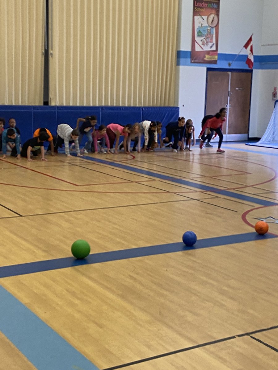 Shelter Bay Phys.ed tweet media