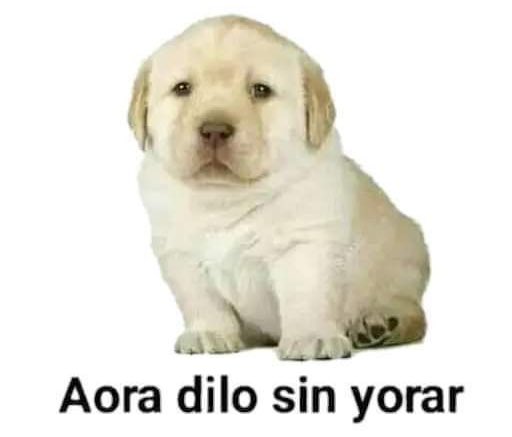 “Ese no es el #Daredevil que conocí”