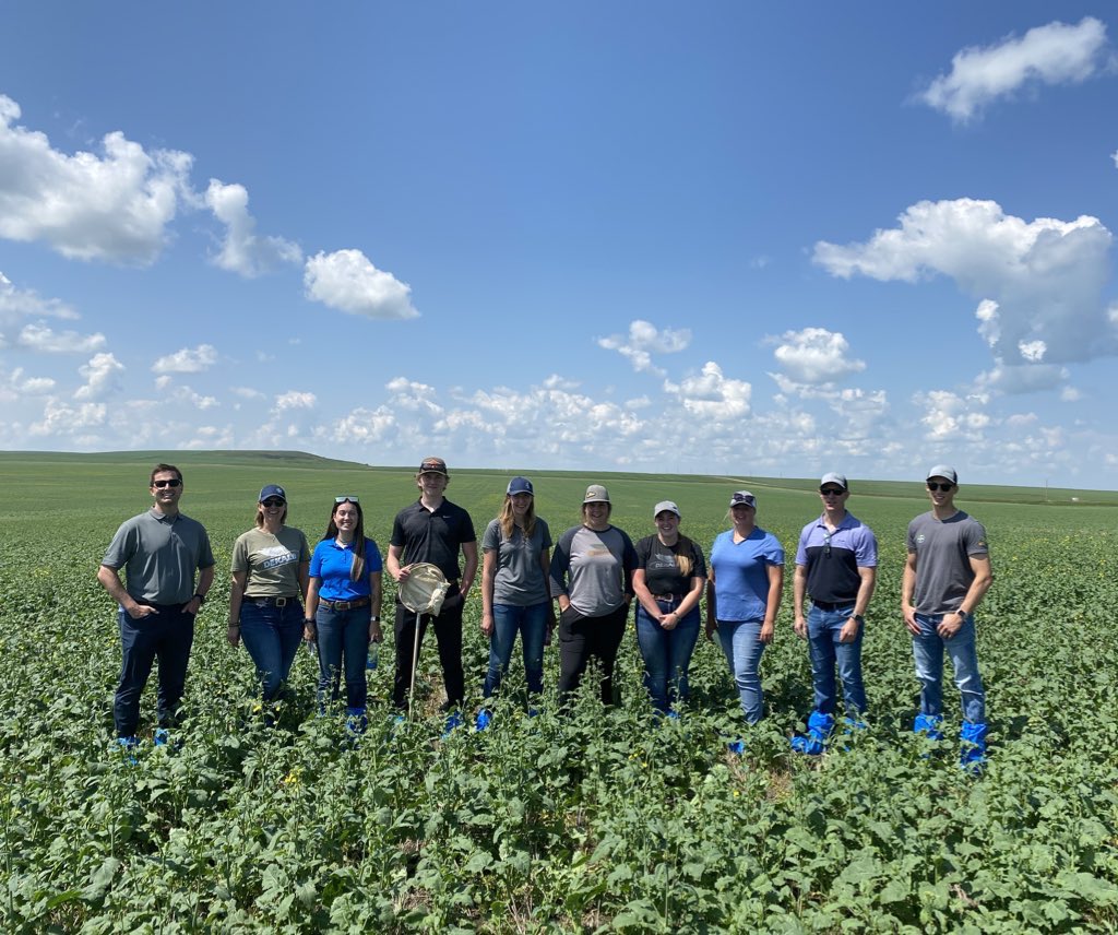 We are hiring for Summer!! Our summer associates are an integral part of our team, If you’re looking for a great opportunity in Agriculture check out impres.com/positions?ptyp… 
#westcdnag #ABag <a href="/Bayer4CropsCA/">Crop Science Canada</a> <a href="/DEKALB_Canada/">DEKALB Canada</a>