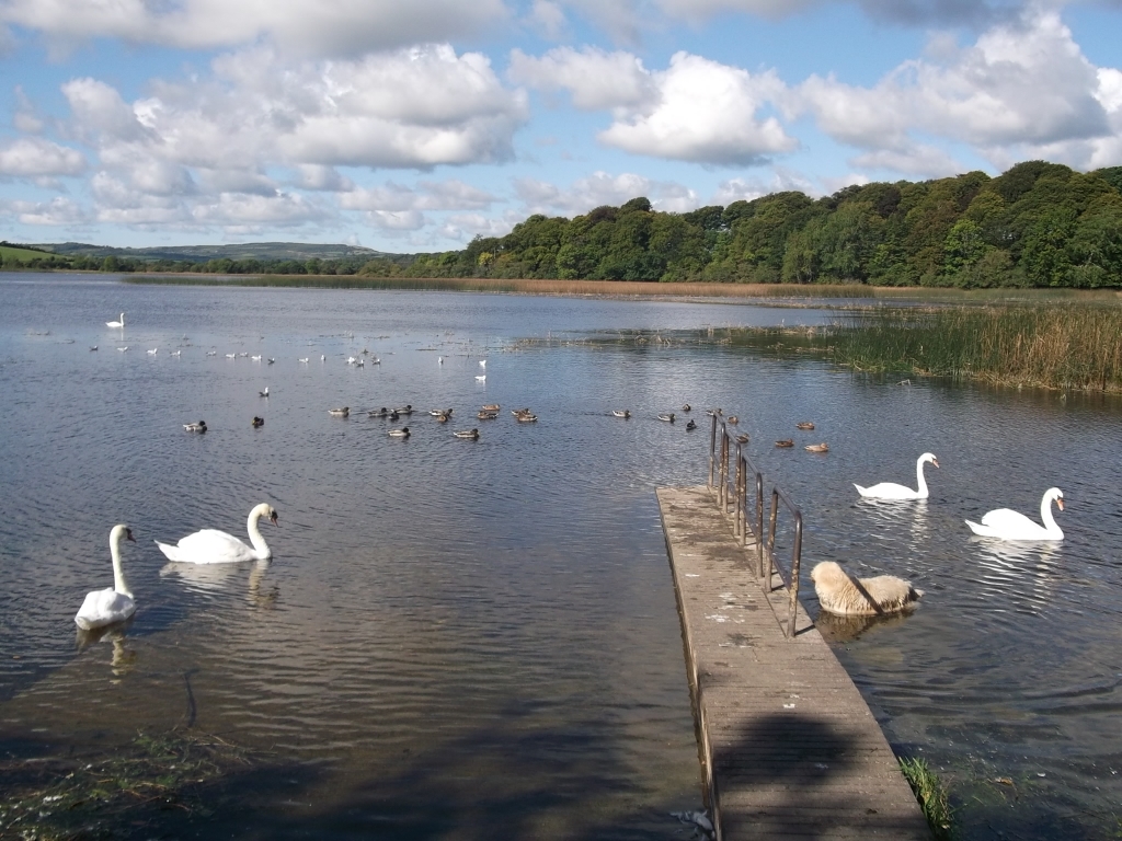Tweets with replies by Clare County Council (@ClareCoCo) / Twitter