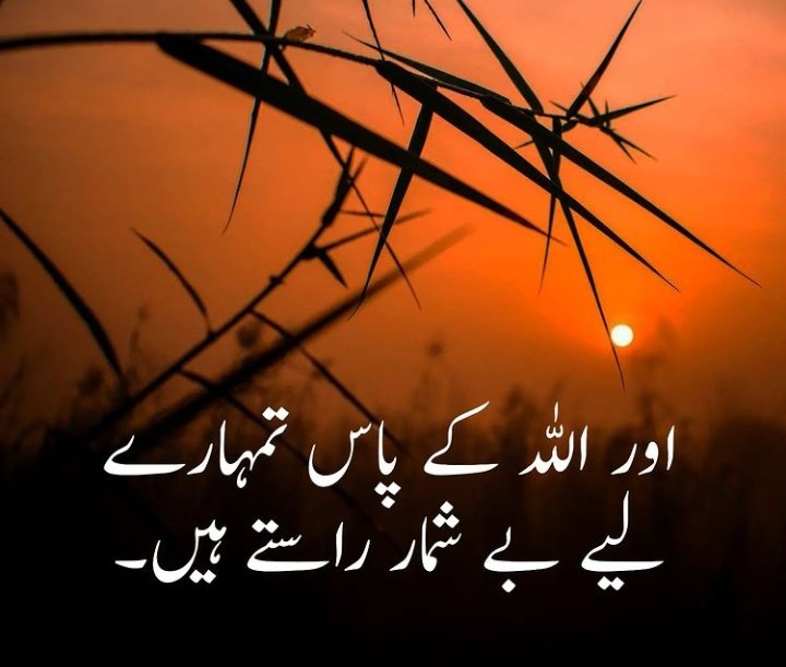 SAIMA AAMIR TAIMOUR (Gorgeous Pakistan) tweet media