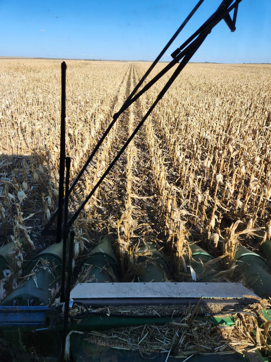 Joe McColloch tweet media