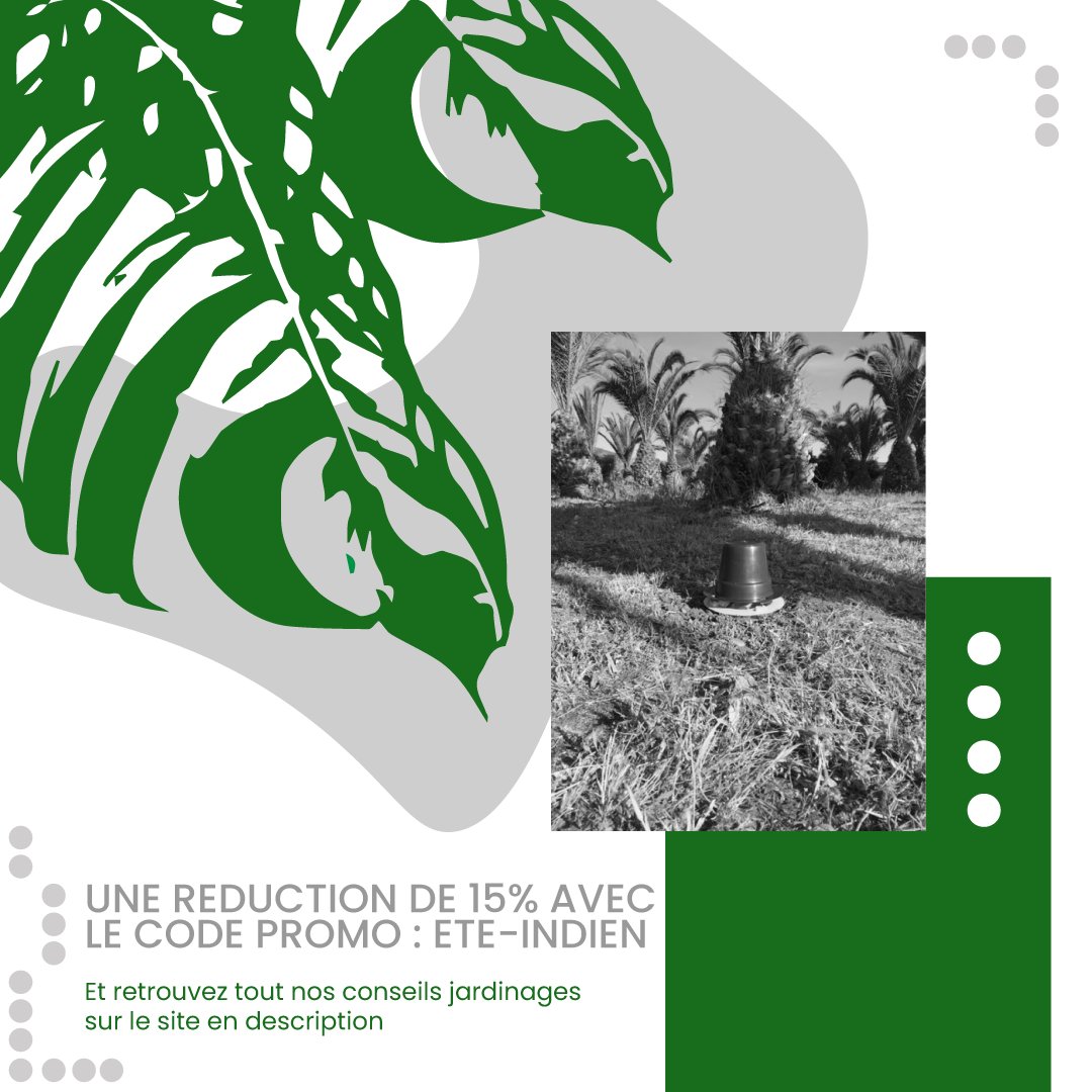 GreenControl_'s tweet image. L’été touche à sa fin mais les ravageurs de vos palmiers sont toujours là. 🌴
Fin de saison, rime avec promotion, GreenControl vous offre -15% sur les kits de piégeages à phéromones contre les ravageurs du palmier. 😃
Rendez vous sur notre site :  green-control.fr