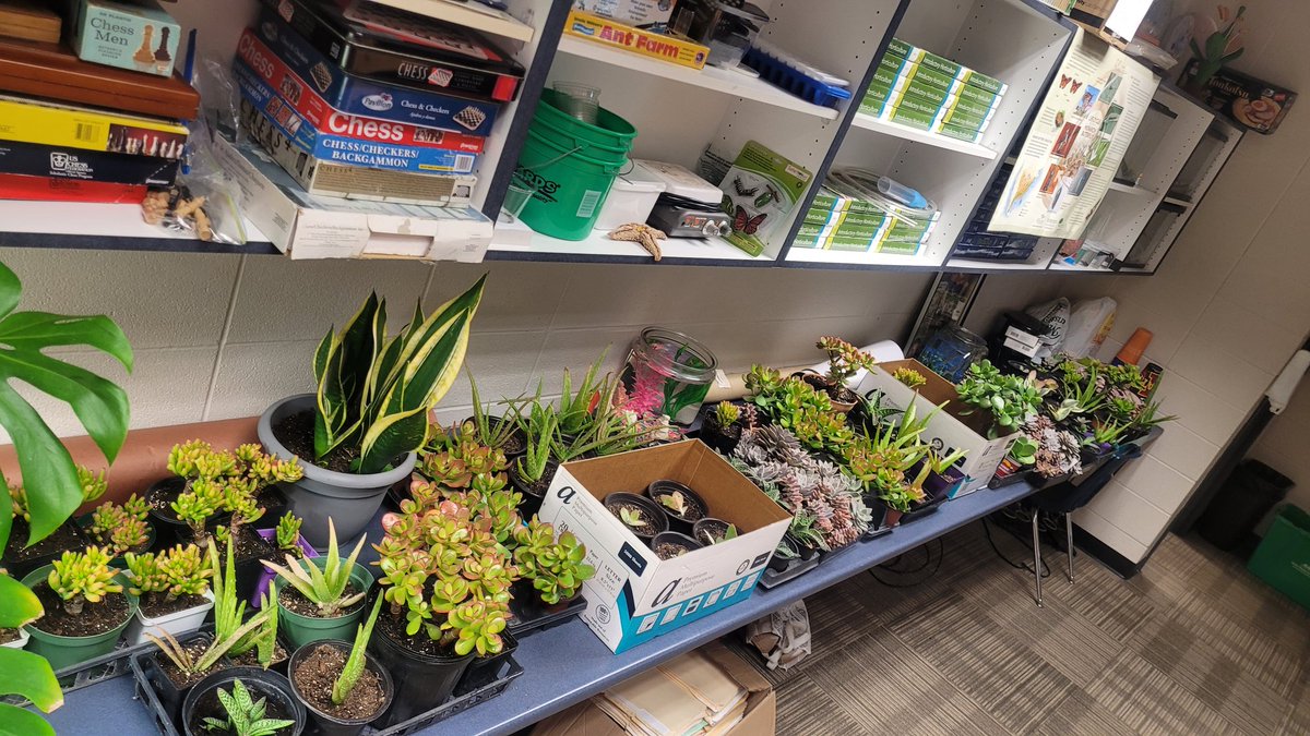 DCGBotany's tweet photo. Hey Plant fans! Tonight is the DCG vs ADM Coaches vs Cancer VB game, &amp; the DCG Botany crew will be selling a bunch of small to medium sized houseplants to raise $ to fight cancer! We'll be set up in Meadows commons with the cool silent auction items, selling from 4:30 - 8.@DCGHS https://t.co/z9VdBGo6P5