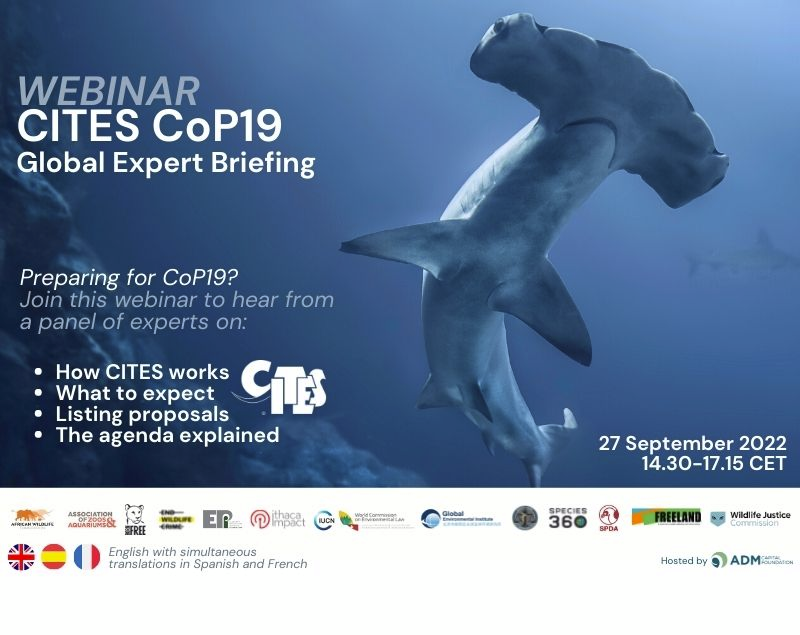 dkachelriess1's tweet photo. Interested in #marine topics &amp; species to be discussed at #CITES #CITESCoP19 ? I was glad to be able to give a 20min overview of key topics at last week's Global Expert hosted by @ADMCapFound and moderated by @JohnEScanlon. Recording available here: https://t.co/Qr6Fck5voU https://t.co/PPUpNC9a2I