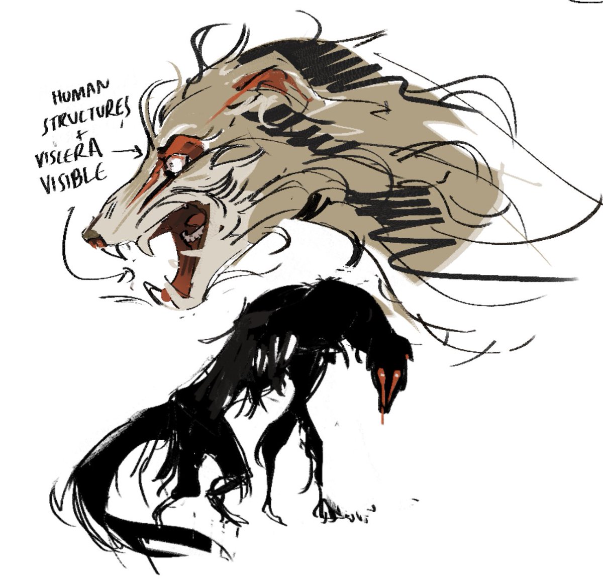 「Sketching out ideas for a werewolf borzoi story 」SAMZA 🪰 (in the comm