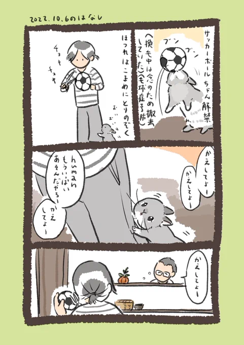 日付け変わって昨日のrabbit…
足元に気をつけましょう⚠️

#うさぎのいる生活 