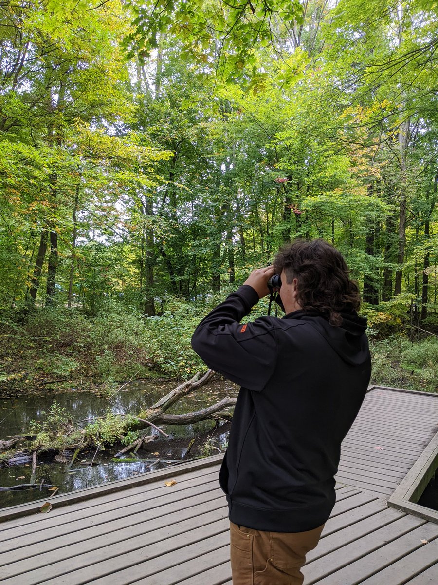 Dan Arppe tweet media